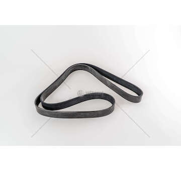 V-Ribbed Belt CINGHIA 8PK1688 Dayco