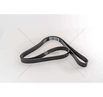 V-Ribbed Belt CINGHIA 8PK2100 Dayco