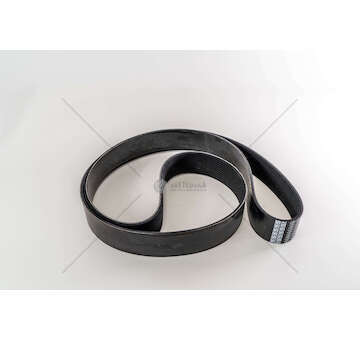 V-Ribbed Belt CINGHIA Iveco