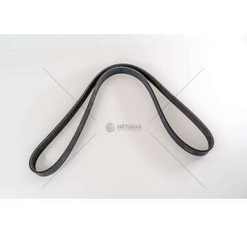 V-Ribbed Belt CINGHIA POLI V 8 PK 1688 - TECTOR Iveco