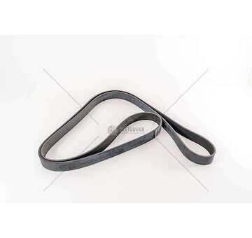 V-Ribbed Belt CINGHIA POLI V 8 PK 2515 T9030/40 Iveco