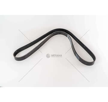 V-Ribbed Belt CINGHIA POLY V 1625 8 ALETTE Iveco