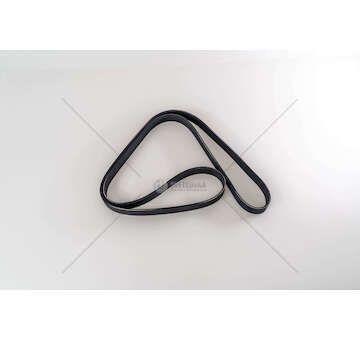 V-Ribbed Belt CYFA/B/C/D 2,2 TDCI - TRANSIT Dayco