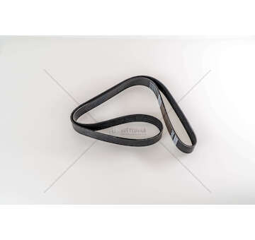 V-Ribbed Belt D12/D13 - FH/FM SERIES Dayco