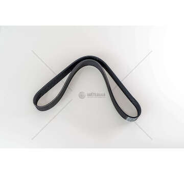 V-Ribbed Belt D12 - FH/NH SERIES Dayco