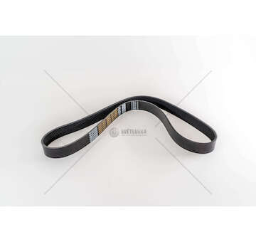 V-Ribbed Belt D2066 - ND/NG/NL/NU SERIES Dayco