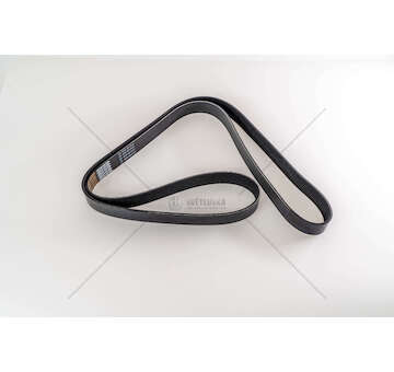 V-Ribbed Belt D2066LF - TGA/TGX/TGS SERIES Dayco