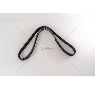 V-Ribbed Belt D9A/D9B - FM 9 Dayco