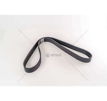 V-Ribbed Belt DAF XF 105/CF 85 - 9PK1424HD Dayco