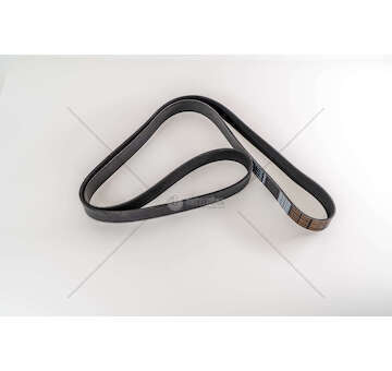 V-Ribbed Belt DC 11.01-04/DSC 11.79 - 4-SERIES Dayco