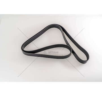 V-Ribbed Belt DC 16 - P,G,R,T-SERIES Dayco