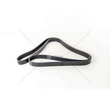 V-Ribbed Belt DC 9.03 - 4-SERIES Dayco