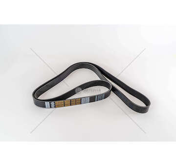 V-Ribbed Belt DSC 14.13/15 - 4-SERIES Dayco