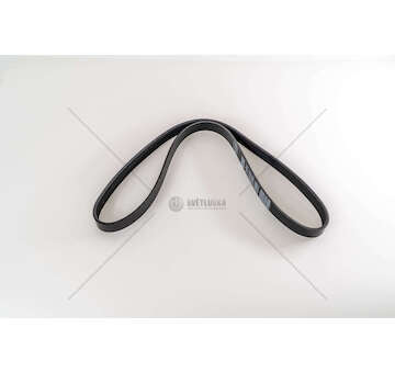 V-Ribbed Belt DW10/M4R 2.0 - SCUDO/MEGANE/CORSA L.1217 Dayco