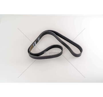 V-Ribbed Belt DXI 11 - KERAX/PREMIUM 2 L= 1525 MM Dayco