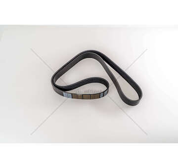 V-Ribbed Belt DXI 13 - KERAX/MAGNUM Dayco