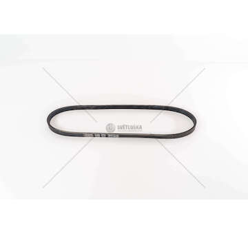 V-Ribbed Belt F1AE0481 - DUCATO 120 MULTIJET 2.3 D Dayco