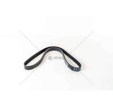 V-Ribbed Belt F1AE3481D - DUCATO 7PK1236 Fiat Powertrain Technologies