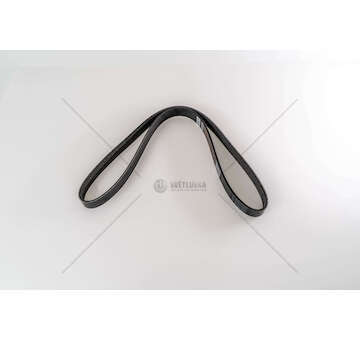 V-Ribbed Belt F1AE3481D - DUCATO Dayco