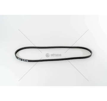 V-Ribbed Belt F1CE3481C DAILY E5 BITURBO 4PK1102 Iveco