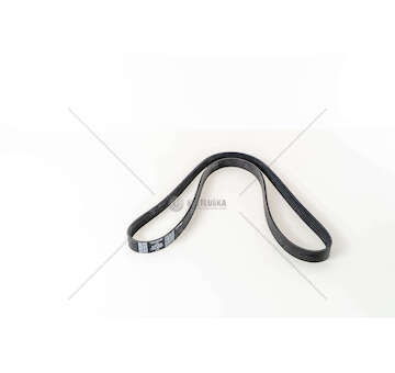 V-Ribbed Belt F2BE0681A - STRALIS/TRAKKER Iveco