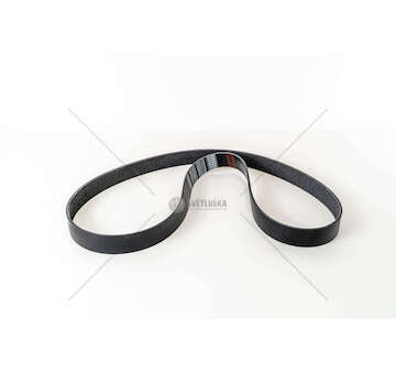 V-Ribbed Belt F2CFE611D- STRALIS -EURO6 Iveco