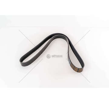 V-Ribbed Belt F4AE0484 - NEF/TECTOR Dayco