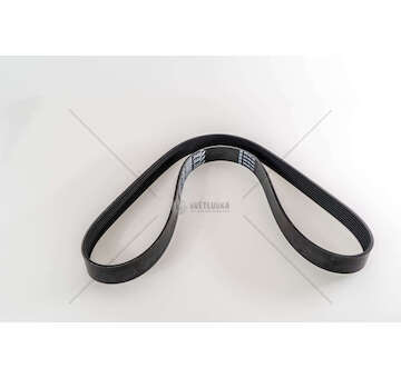 V-Ribbed Belt F4GE/F4HFE 8PK1381 Fiat Powertrain Technologies