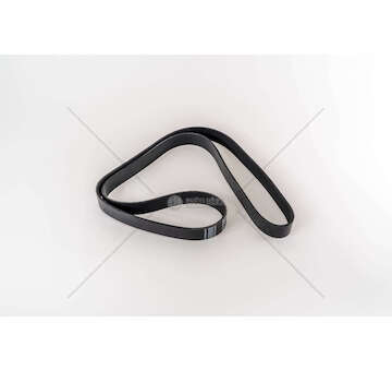 V-Ribbed Belt OM457 - AXOR Dayco