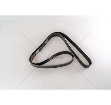 V-Ribbed Belt OM457 - TRAVEGO Dayco