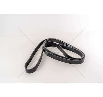 V-Ribbed Belt OM471 - ACTROS Dayco