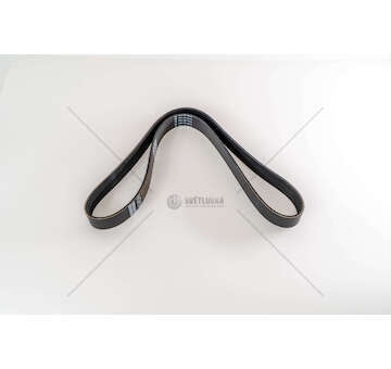 V-Ribbed Belt OM541/OM542 - ACTROS Dayco