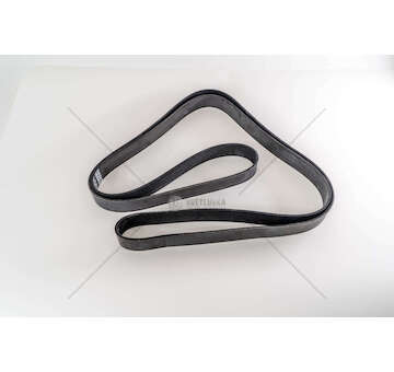 V-Ribbed Belt OM541/OM542 - ACTROS Dayco