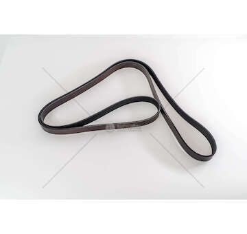 V-Ribbed Belt OM602.980 - SPRINTER Dayco