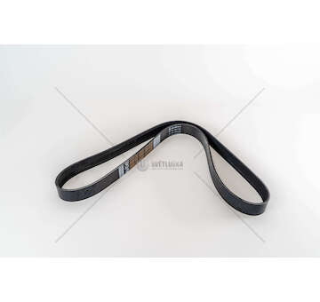 V-Ribbed Belt OM904/906/924/926 - ATEGO Dayco