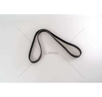 V-Ribbed Belt POLY RIB BELT 6PK 1372 Dayco