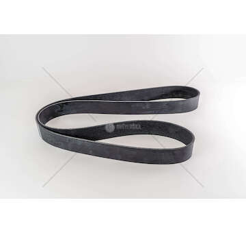 V-Ribbed Belt STRALIS AD/AS/AT M.Y. 2016 F3GFL611 Iveco