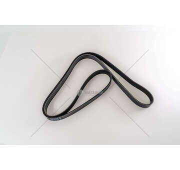 V-Ribbed Belt VM 08/32 - 2.5 TD 164 Dayco