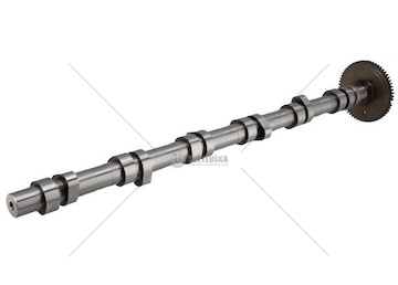 Vačkový hřídel DAF MX11 OE Germa 060500MX1102