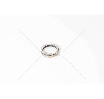 Valve Seat SEDE VALVOLA STD EX - F3BE0681 -CURSOR 13 Iveco