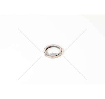 Valve Seat SEDE VALVOLA STD IN - F3BE0681 -CURSOR 13 Iveco