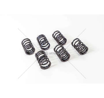 Valve Spring 8340.04 - 50.9/50.10/CO3/CP3 Mec-Diesel