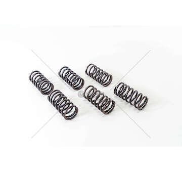 Valve Spring 8360.46 Mec-Diesel