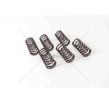 Valve Spring 8460.21/41 Mec-Diesel