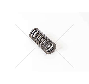 Valve Spring CURSOR 10 E4->E6 - F3AE3681 Iveco