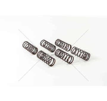 Valve Spring D 2530/2538/2540/2565/2566/284 0/2 - INT Mec-Diesel