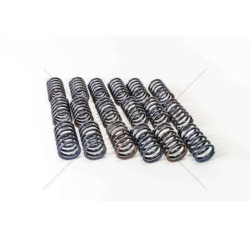 Valve Spring D 2865/D 2866 - ESTERNA - EX Mec-Diesel