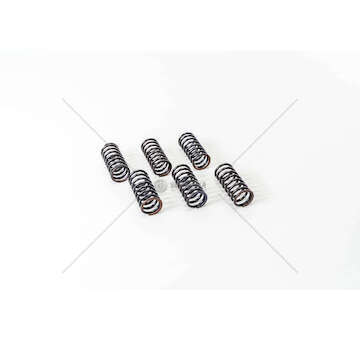 Valve Spring D 2865/D 2866 - INTERNA - EX Mec-Diesel