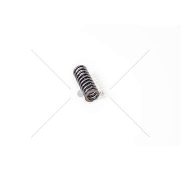 Valve Spring F1A/F1C - DAILY 35C10/C15 - Iveco