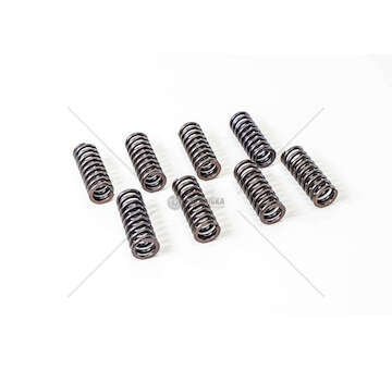 Valve Spring F1A/F1C - DAILY 35C10/C15 - Mec-Diesel